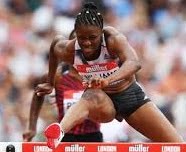 Danielle Williams books Wild Card